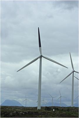 Joint responsibility in the development of effective wind-turbine collision-reducing solutions